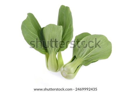 Similar – Image, Stock Photo Bok choy on wooden table