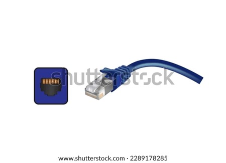 Ethernet port and cable. vector