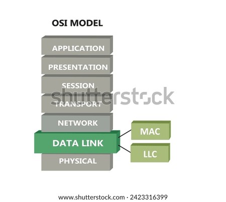 OSI network model with data link sub layers, vector