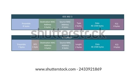 Two standard types of ethernet frame, vector