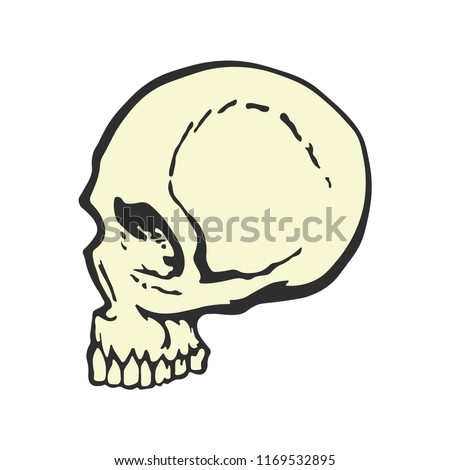 Human skull in profile. Cartoon style. Side view. Template graphic design for t-shirt. Creative design. Vector illustration