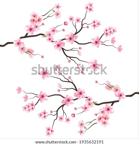 branch tree vector illustration summer clipart autumn clipart nature forest, Background cherry blossom spring flower Japan,  Branch of blooming sakura with flowers, cherry blossom