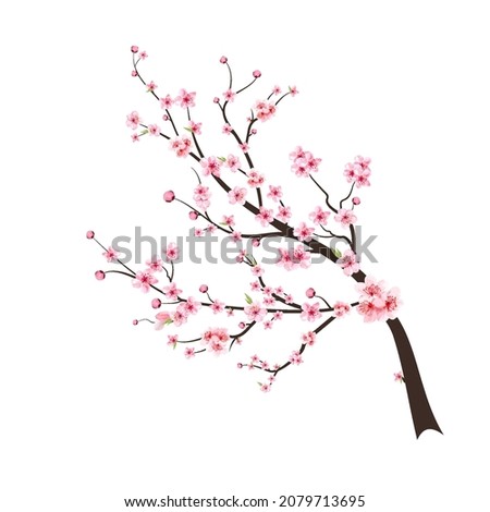 Similar – Image, Stock Photo Blooming cherry tree in the spring garden. Close up of white flowers on a tree. Spring background