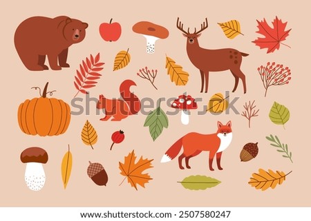 Set of flat symbols of autumn. Cute autumn nature isolated drawn elements. Leaves, squirrel, bear, deer, fox, rowan berry, mushrooms, apple, pumpkin, acorns, trees. Vector illustration