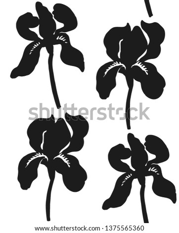 Seamless vector pattern with black silhouettes of iris flowers. Black and white abstract summer flowers.