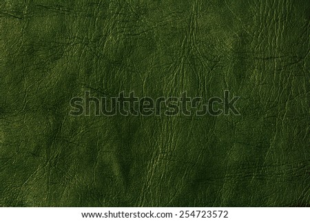 Green Leather Texture./ Green Leather Texture