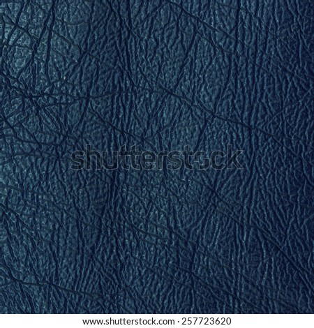 Blue leather texture / Blue leather texture