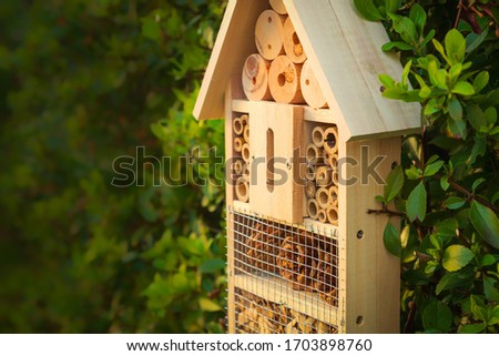 Insect hotel in a green hedge gives protection and a nesting aid to bees and other insects.Insect hotel in a green hedge gives protection and a nesting aid to bees and other insects.