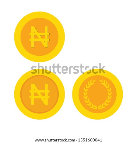 Nigerian Naira coisn   icon. Nigerian Naira flat sign money.  golden (yellow) icon coin  set vector