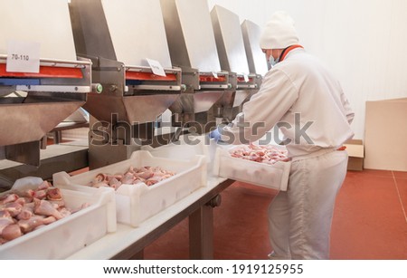 People working at a chicken factory - stock photo. Meat processing equipment. The meat factory. chicken on a conveyor belt.meat processing plant.meat processing plant assembly line.