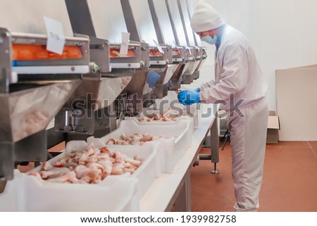 Industrial equipment at a meat factory.Chicken fillet production line . Factory for the production of food from meat.Automated production line in modern food factory. Ravioli production.