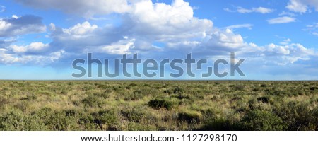 Beautiful landscape of the pampas (Steppes in Argentina) Zdjęcia stock © 