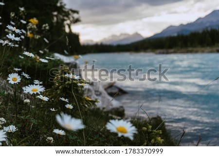 Similar – Image, Stock Photo On the shore of a lake the angler waits for his catch