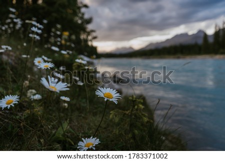 Similar – Image, Stock Photo On the shore of a lake the angler waits for his catch