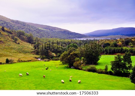 peaceful landscape, Co.Kerry, Ireland