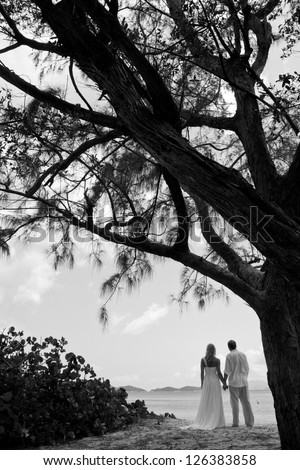 Bride and Groom under a Large Tree Silhouette