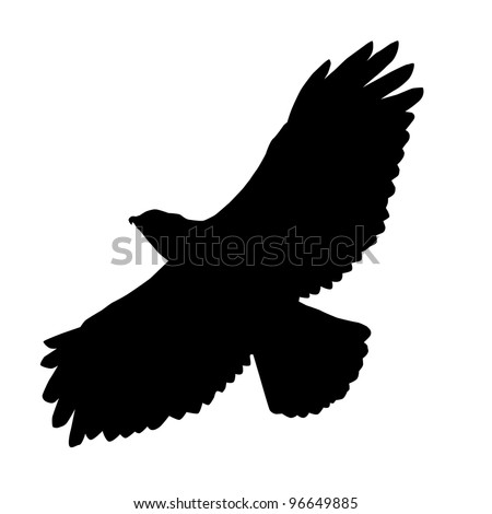 Hawk Silhouette Raster Stock Photo 96649885 : Shutterstock