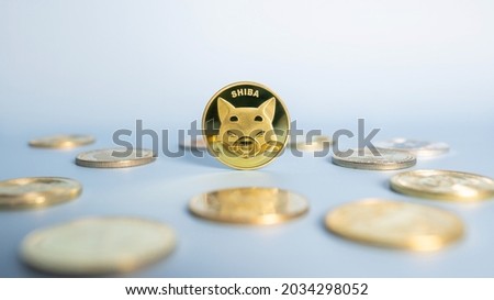 Shiba Inu or Shib coin standing centrally placed among bunch of crypto coins on blue background. Close-up, soft focus. Banner with golden Shiba token.