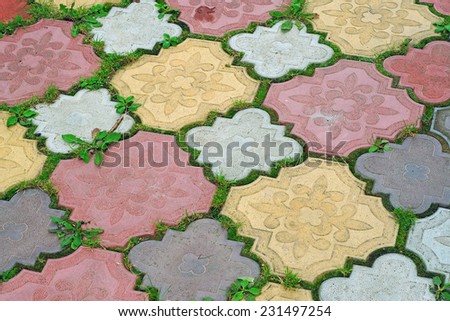 Path of colored tiles from the growing grass in the gaps as background