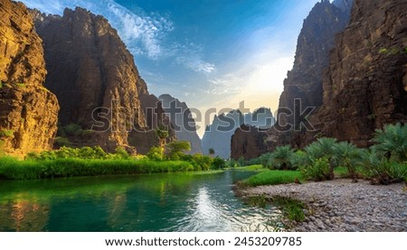 Image, Stock Photo Beautiful stones with exotic green plants in fog