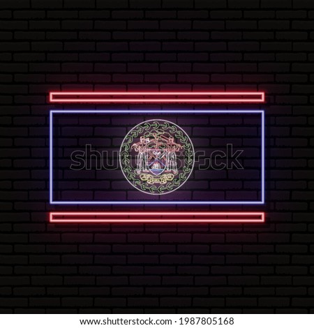 Neon sign in the form of the flag of Belize. Against the background of a brick wall with a shadow. For the design of tourist or patriotic themes. North America