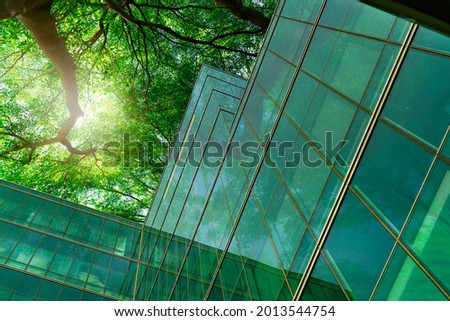 Eco-friendly building in the modern city. Green tree branches with leaves and sustainable glass building for reducing heat and carbon dioxide. Office building with green environment. Go green concept. Stockfoto © 