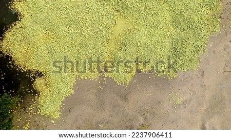 Chemical toxic waste from factory industry. Yellow sulphur powder. Hazardous waste. Acid toxic waste in factory concept. Toxic waste pollution. Soil contamination or soil pollution. Environment issue. Foto stock © 