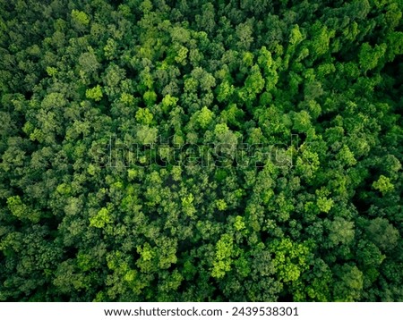 Similar – Image, Stock Photo Aerial drone view of road in idyllic winter landscape at sunset. Street running through the nature from a birds eye view