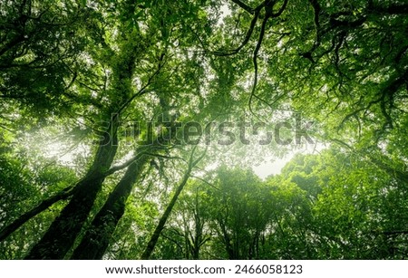 Similar – Image, Stock Photo Eco Carbon Capture Ecology