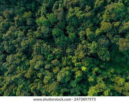 Similar – Image, Stock Photo Baum, Grüne Blätter und Hand Illustration Logo Vorlage. Hand mit grünem Blatt kombiniert, bedeutet gesundes Leben, Konzept für Gesundheitsunternehmen, grüne Aktivisten, Wohltätigkeitsorganisationen, Aktivitäten der sozialen Gemeinschaft, Umwelt