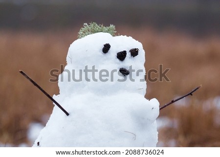 Similar – Image, Stock Photo Snowman standing in foggy winter forest