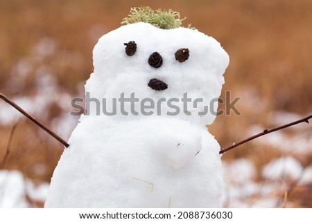 Similar – Image, Stock Photo Snowman standing in foggy winter forest