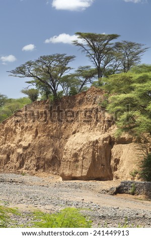 An empty river bed between Marigat and Lake Baringo in Kenya during dry season