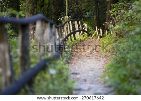 A footpath through the forest next to a handrail in warm evening light. Taken near Monschau in the Eifel, Germany.