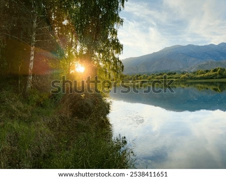 Similar – Image, Stock Photo light silence / reflected in the water / in the middle a swan