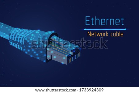 ethernet network cable, socket type rj45,  internet,100mbps and more, web,be always online,connect to computer ,access  to mobile apps, web site, vector illustration, triangle,plexsus,low poly,dot