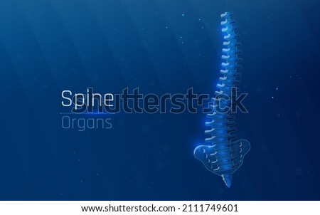 Abstract mesh line and dot physiotherapy human spine. Low poly Pain area surgery operation. Polygonal render female back hernia illustration