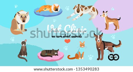 Vector illustration of wounded, after surgery and handicapped cats and dogs.Creative banner, flyer or landing page for vet clinic or veterinary hospital.