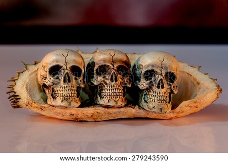 Skull of three friends in the peel fruit