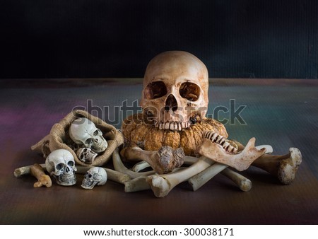 Pile of bones and various sizes skulls,  On dark atmosphere, Still life style