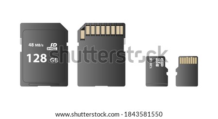 Memory card, SD card and micro SD card isolated on white background, front and back view, vector illustration