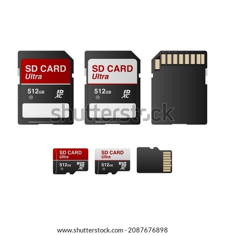 SD and Micro SD card isolated on white background, vector illustration