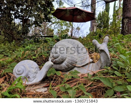 Similar – Image, Stock Photo the garden in the mirror