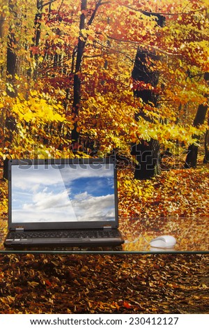 laptop on a glass table on background of forest