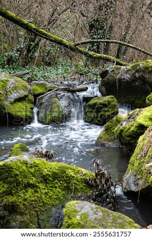 Similar – Image, Stock Photo Waterfall flowing through autumn forest in daylight