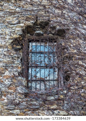 Window pane of an old, ruined stone building with iron bars, covered with vine twigs