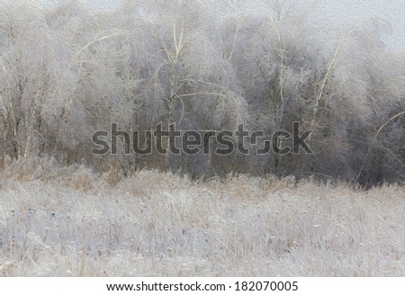 Soft, dreamy photo of generic winter landscape - frozen grass in foreground and birch forest, stylized and filtered to resemble an oil painting