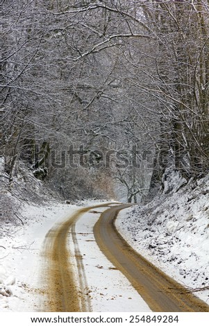 country road in winter, covered with snow and sand with thick snow covered trees on both sides, vertical