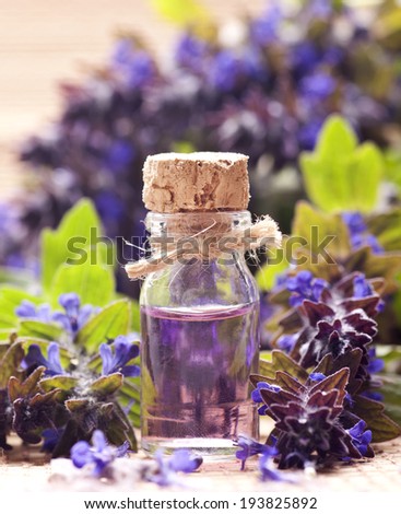 Spa background with violet flowers and glass vial with essential oil.
