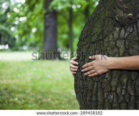 Environment concept. Human hands hugging a tree that looks like the belly of a pregnant woman.